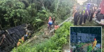 Un collage de imágenes que contiene 2 imágenes. La imagen 1 muestra NINTCHDBPICT001047912652, la imagen 2 muestra NINTCHDBPICT001047913189.