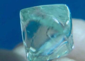 Un collage de imágenes que contiene 1 imágenes. La imagen 1 muestra NINTCHDBPICT001046400480