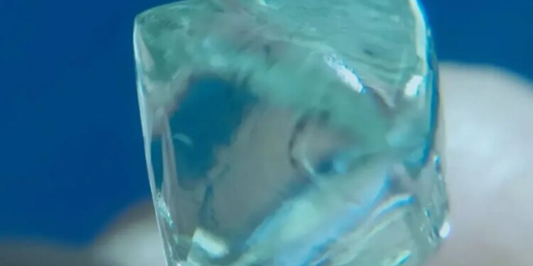 Un collage de imágenes que contiene 1 imágenes. La imagen 1 muestra NINTCHDBPICT001046400480