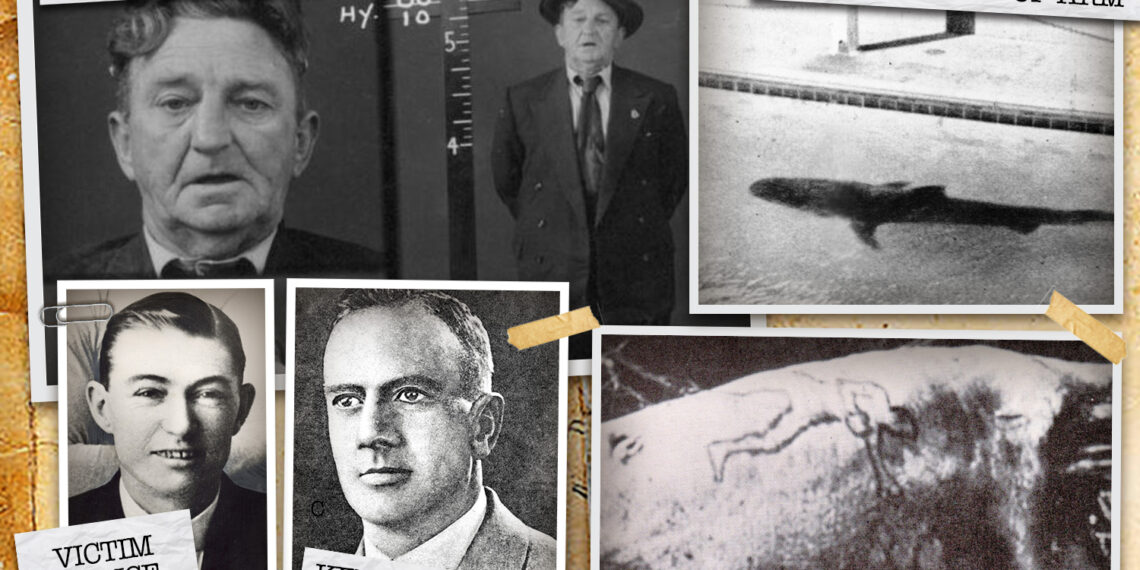 Cómo un tiburón feroz vomitó un brazo humano cortado frente a una multitud horrorizada en el acuario, lo que desató el misterio del asesinato de las mafias