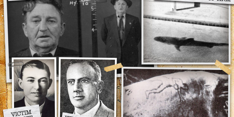 Cómo un tiburón feroz vomitó un brazo humano cortado frente a una multitud horrorizada en el acuario, lo que desató el misterio del asesinato de las mafias