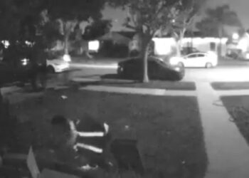 Conductor de reparto de Moment acaricia al gato del dueño de casa antes de robárselo