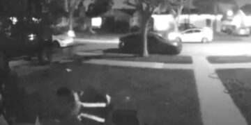 Conductor de reparto de Moment acaricia al gato del dueño de casa antes de robárselo