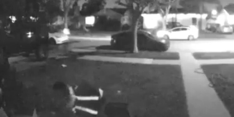 Conductor de reparto de Moment acaricia al gato del dueño de casa antes de robárselo