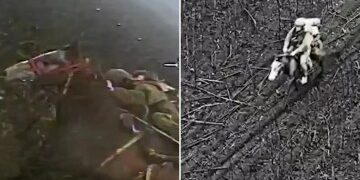 Dentro de la Navidad de primera línea de los marines ucranianos "robada por la guerra", donde los camaradas parten el pan mientras llueven drones suicidas