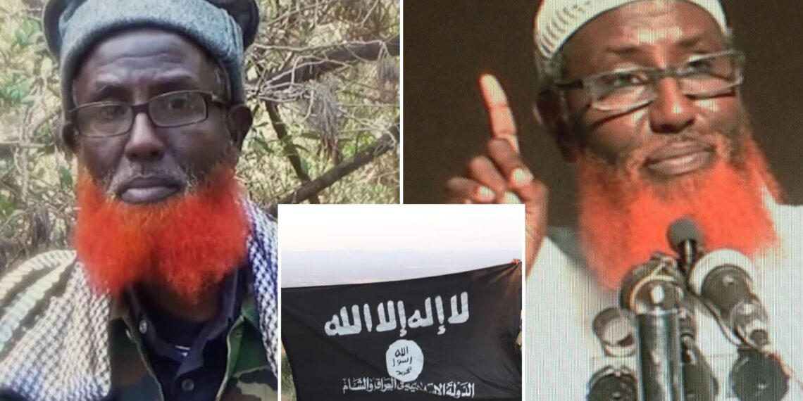Un collage de imágenes que contiene 3 imágenes. La imagen 1 muestra a Abdul Qadir Mumin, un líder militante islamista, con una chaqueta de camuflaje y una barba roja. La imagen 2 muestra un retrato del clérigo nacido en Somalia Abdulqadir Mumin, acusado de encabezar el grupo Estado Islámico en África Oriental. La imagen 3 muestra a dos militantes con equipo militar sosteniendo una bandera negra con escritura árabe blanca.