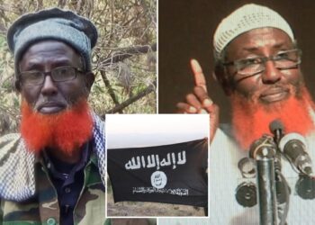 Un collage de imágenes que contiene 3 imágenes. La imagen 1 muestra a Abdul Qadir Mumin, un líder militante islamista, con una chaqueta de camuflaje y una barba roja. La imagen 2 muestra un retrato del clérigo nacido en Somalia Abdulqadir Mumin, acusado de encabezar el grupo Estado Islámico en África Oriental. La imagen 3 muestra a dos militantes con equipo militar sosteniendo una bandera negra con escritura árabe blanca.