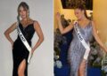 Un collage de imágenes que contiene 2 imágenes. La imagen 1 muestra a Miss Finlandia con un vestido negro y "Finlandia" fajín, la Imagen 2 muestra a Sarah Dzafce, Miss Finlandia, en una escalera azul con flores azules, luciendo un vestido con flecos brillantes y un fajín.