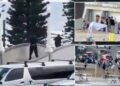 Increíble momento en que un valiente espectador ataca al pistolero de Bondi Beach después de un tiroteo masivo
