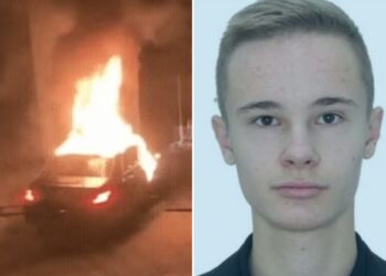 Un collage de imágenes que contiene 2 imágenes. La imagen 1 muestra NINTCHDBPICT001043502699, la imagen 2 muestra NINTCHDBPICT001043368657.