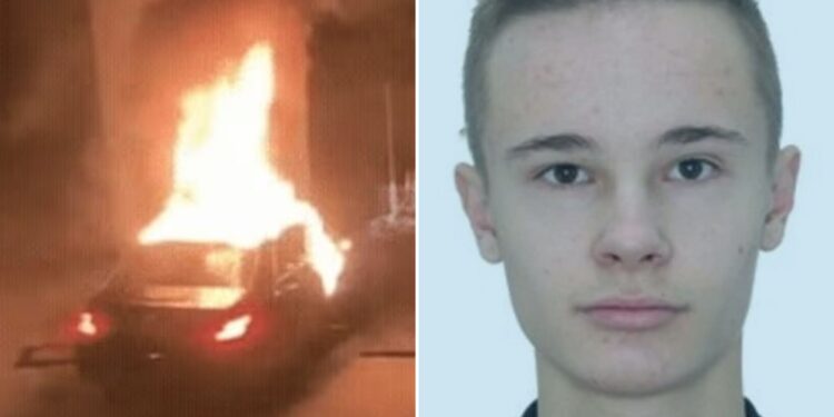 Un collage de imágenes que contiene 2 imágenes. La imagen 1 muestra NINTCHDBPICT001043502699, la imagen 2 muestra NINTCHDBPICT001043368657.