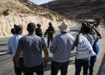 El ejército israelí impide que los palestinos lleguen a sus tierras para cosechar aceitunas después de declarar la zona zona militar cerrada el 23 de octubre de 2025, en Si'ir, Hebrón.