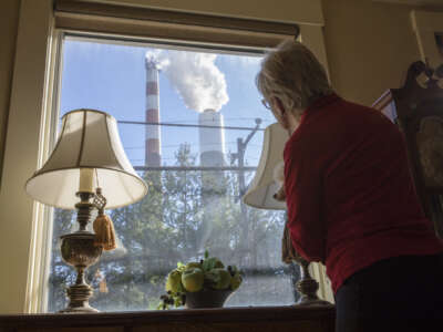 Marti Blake mira por la ventana delantera la chimenea de la central eléctrica de carbón de Cheswick en Springdale, Pensilvania, el 27 de octubre de 2017. Blake dice que la cantidad de dióxido de azufre, óxido de nitrógeno y partículas de carbón que se originan en la planta ha afectado su salud y la de quienes se encuentran en el área circundante.