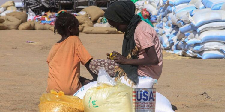 La ONU advierte sobre un hambre “sin precedentes” en Sudán: la mitad de los niños menores de cinco años mueren de hambre