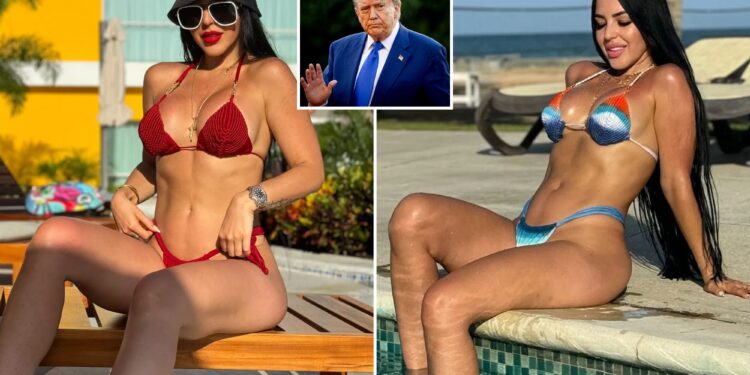 Un collage de imágenes que contiene 3 imágenes, la imagen 1 muestra NINTCHDBPICT001043121019, la imagen 2 muestra NINTCHDBPICT001043121018, la imagen 3 muestra al rey Willem-Alexander de los Países Bajos y a la reina Máxima invitando a jefes de estado y de gobierno a una cena durante la cumbre de la OTAN