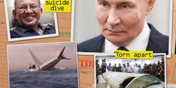 La búsqueda de última hora de £50 millones para el vuelo perdido MH370 se reanudará HOY, 11 años después de la desaparición más misteriosa del mundo