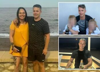 Un collage de imágenes que contiene 3 imágenes. La imagen 1 muestra NINTCHDBPICT000988597669, la imagen 2 muestra NINTCHDBPICT001010240921, la imagen 3 muestra NINTCHDBPICT000968587195.