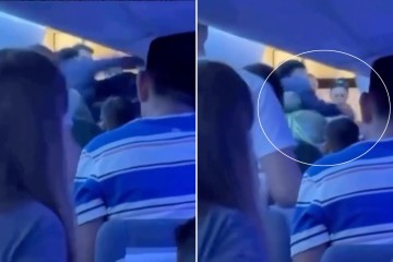 La mujer viral de la pelea en un bar de San Francisco, Shireen Afkari, es ARRESTADA después de que aparecieran imágenes impactantes del alboroto en un restaurante borracho