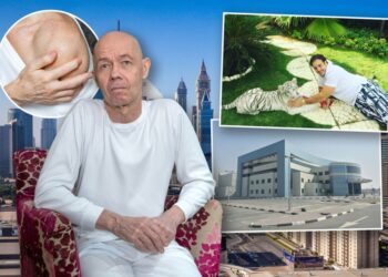 Collage de un hombre calvo con camisa blanca, un primer plano de un brazo con sarpullido, un hombre acariciando a un tigre blanco y un edificio de oficinas, todo ello contra el horizonte de una ciudad.