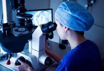 Mire el asombroso tráiler del nuevo 'reality show' en el que los concursantes luchan contra osos y serpientes por dinero... pero hay un problema