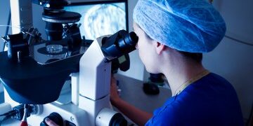 Mire el asombroso tráiler del nuevo 'reality show' en el que los concursantes luchan contra osos y serpientes por dinero... pero hay un problema