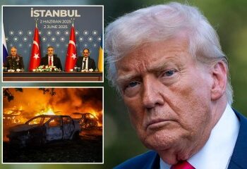 Momento en el que estalla una pelea masiva en un concurso de lucha libre con golpes después de que la policía de Putin perdiera el control en la Crimea ocupada