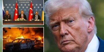 Momento en el que estalla una pelea masiva en un concurso de lucha libre con golpes después de que la policía de Putin perdiera el control en la Crimea ocupada