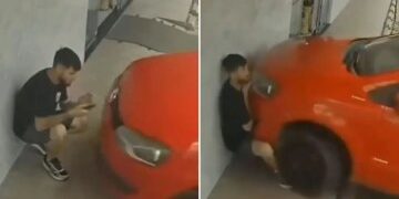 Momento impactante: un turista despistado que miraba su teléfono es derribado por una mula que llevaba carga por el camino