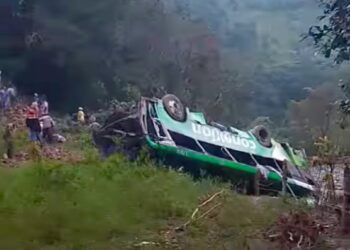 NINTCHDBPICT001047815343