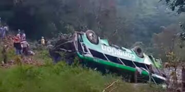 NINTCHDBPICT001047815343