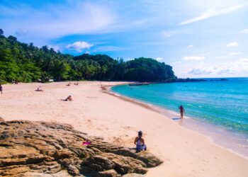 Un collage de imágenes que contiene 1 imágenes. La imagen 1 muestra NINTCHDBPICT001042332258