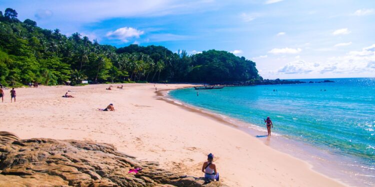 Un collage de imágenes que contiene 1 imágenes. La imagen 1 muestra NINTCHDBPICT001042332258