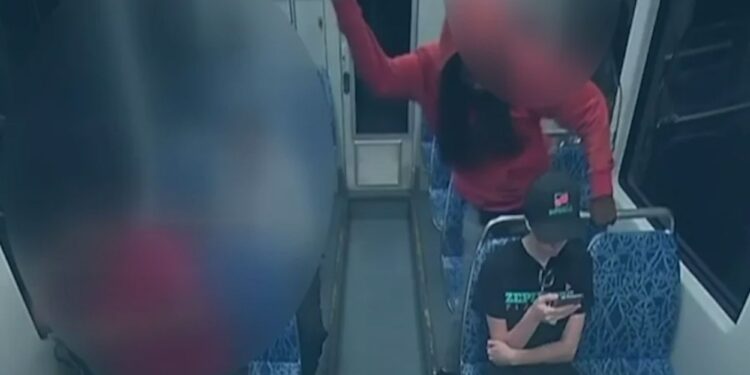 Pasajero apuñalado en tren de Charlotte por inmigrante ilegal dos veces deportado