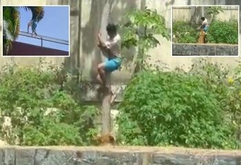 Primera foto del trágico adolescente mutilado hasta la muerte por un león en el recinto del zoológico después de entrar frente a visitantes horrorizados