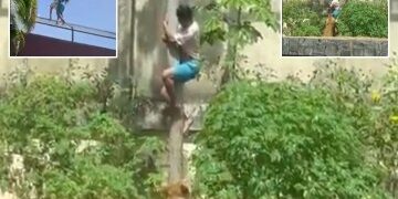 Primera foto del trágico adolescente mutilado hasta la muerte por un león en el recinto del zoológico después de entrar frente a visitantes horrorizados