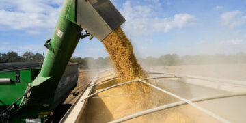 Trump anuncia programa de ayuda agrícola por valor de 12.000 millones de dólares