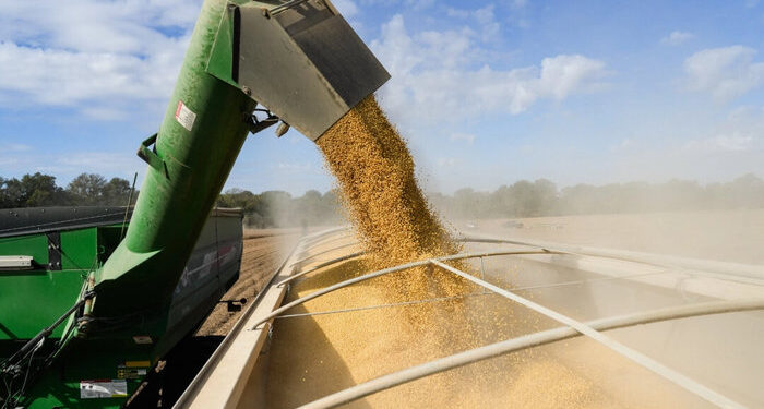 Trump anuncia programa de ayuda agrícola por valor de 12.000 millones de dólares