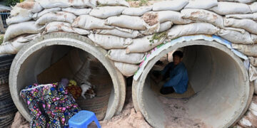 Trump dice que Tailandia y Camboya acuerdan un alto el fuego después de llamadas con líderes