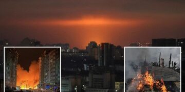 Trump le da a Zelensky hasta Navidad para aceptar el acuerdo de paz con Putin