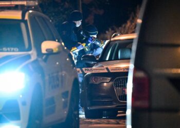 NINTCHDBPICT001046385348