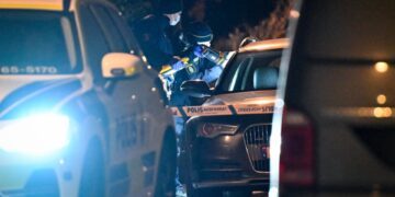 NINTCHDBPICT001046385348