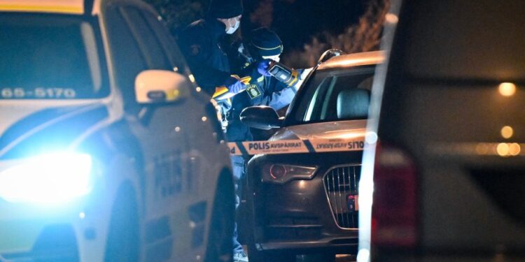 NINTCHDBPICT001046385348