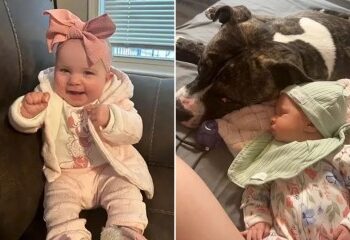 Un niño trágico de 10 años muere mutilado por un cocodrilo después de nadar en el río con sus amigos