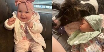 Un niño trágico de 10 años muere mutilado por un cocodrilo después de nadar en el río con sus amigos