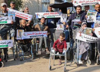 2025 fue un año de duelo colectivo para las comunidades con discapacidad