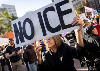 6 de cada 10 estadounidenses dicen que son escépticos ante la investigación de la Reserva Federal sobre el asesinato de Renee Good por un agente de ICE