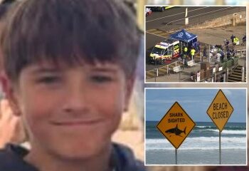 Amigo de un niño de 12 años mutilado por un tiburón revela cómo saltó a aguas ensangrentadas para salvar a su amigo mientras el joven lucha por su vida