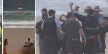 Australia sacudida por el CUARTO ataque de tiburón cerca de Sydney en sólo 48 horas
