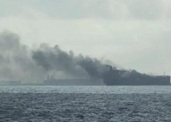 Un collage de imágenes que contiene 1 imágenes. La imagen 1 muestra NINTCHDBPICT001050135166