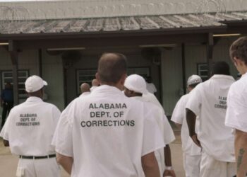 Colaboraron en una película nominada al Oscar y luego los encerraron en aislamiento